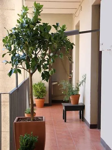 Casa de hóspedes El Puchi