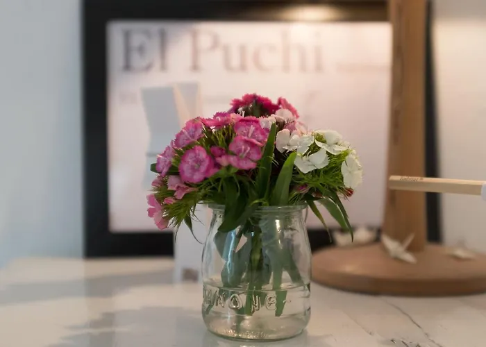 El Puchi