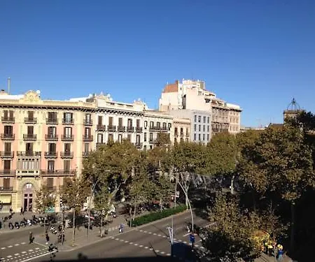 Casa de hóspedes El Puchi *