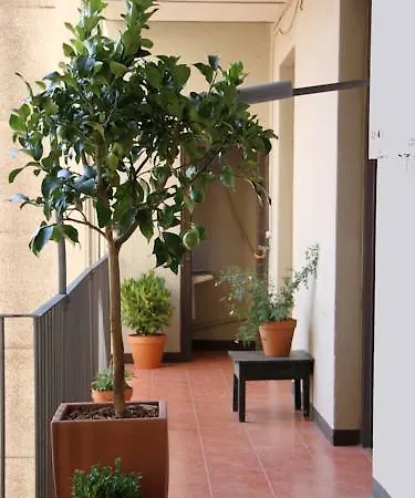 Casa de hóspedes El Puchi