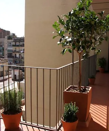 El Puchi Maison d'hôtes *